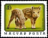 (1976-002) Марка Венгрия "Кабанята"    Молодые дикие животные II Θ